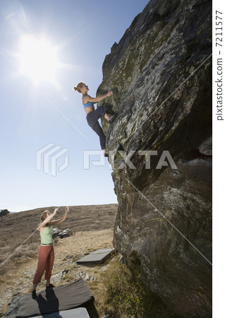 BLD029588 BLD029588 7211577