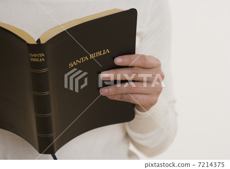 BLD033938 BLD033938 7214375
