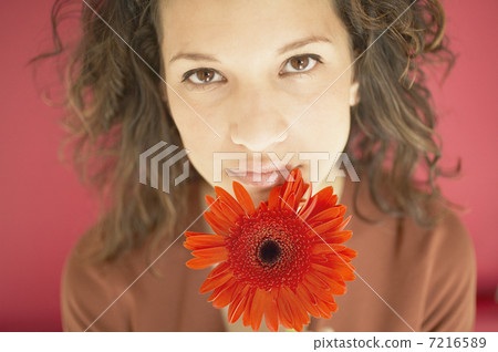 BLD010331 BLD010331 7216589