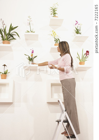 BLD021208 BLD021208 7222165