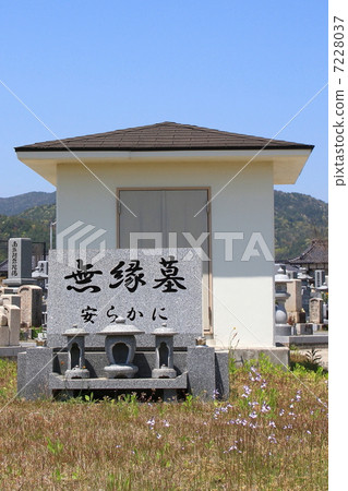 Cemetery 7228037