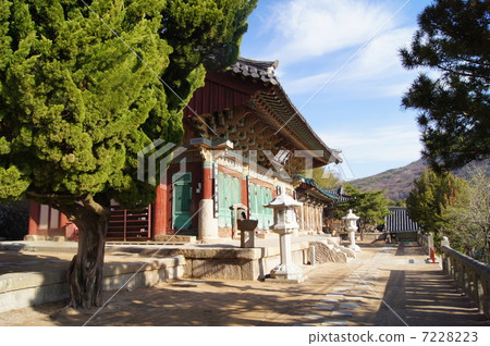 Brahma Temple in Busan 7228223