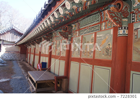 梵天寺在釜山 梵天寺在釜山 7228301