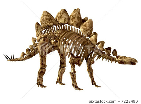 Stegosaur Bone ☆ Stegosaurus Stegosaur Bone ☆ Stegosaurus 7228490