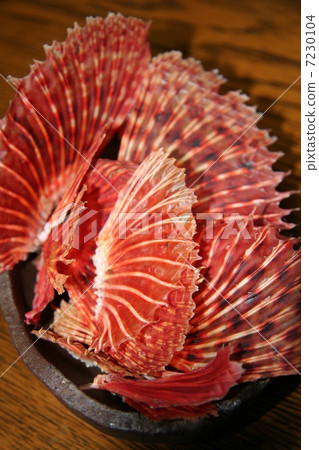 Dried onikasago fins Dried onikasago fins 7230104