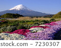 World Cultural Heritage · Mt. Fuji, Shiba Saka. 7230307