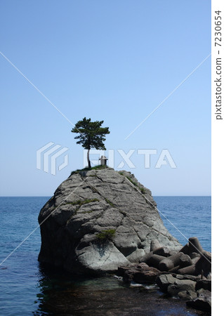 Rock and a pine 7230654