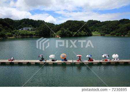 Fisherman in early summer 7230895