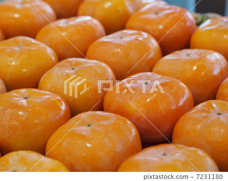 persimmon 7231180
