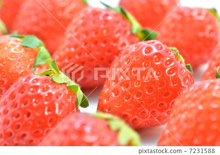 草莓 7231588