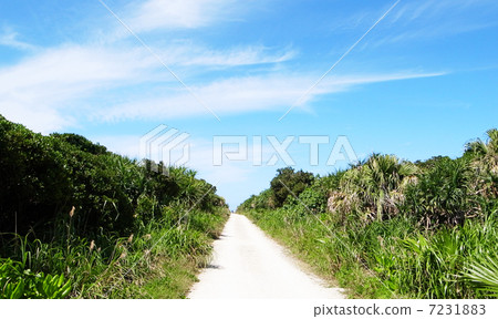 Sky, green and road 7231883