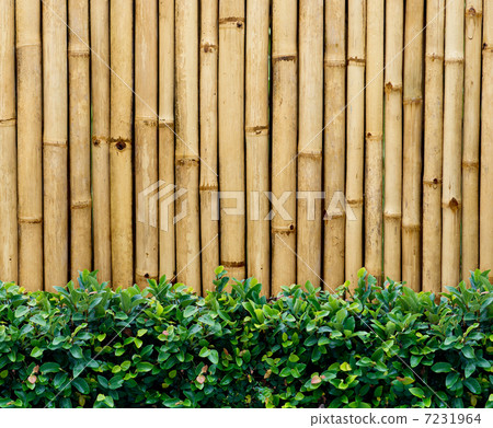 Bamboo fence Bamboo fence 7231964