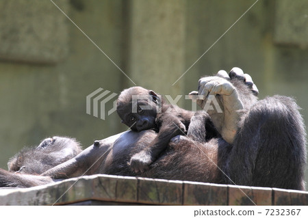 Baby with a 6 month old baby gruela 7232367