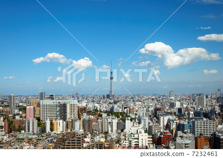 東京天空樹傳播的藍天和都市風景 7232461
