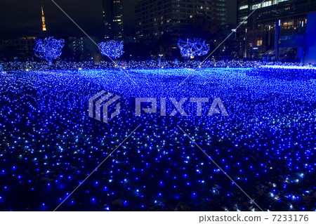 Night view around Roppongi 7233176