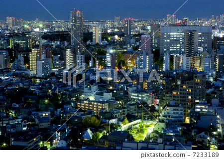 在文京區文娛中心附近的夜景 7233189