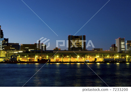 Night view of Tsukiji market 7233200