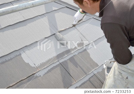 Painting of the roof 7233253