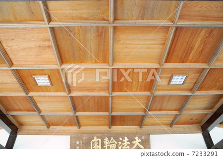  Ceiling 7233291