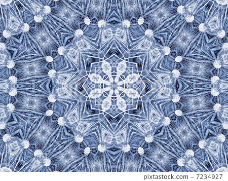 Abstract radial pattern of natural large dandelion flower Abstract radial pattern of natural large dandelion flower 7234927