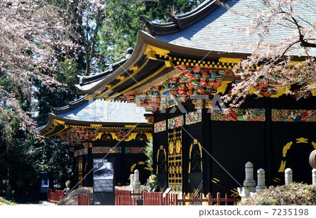 伊蒙根的春天 7235198