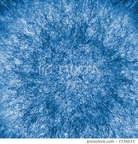 macro X-ray shot of fuzzy mold macro X-ray shot of fuzzy mold 7236033