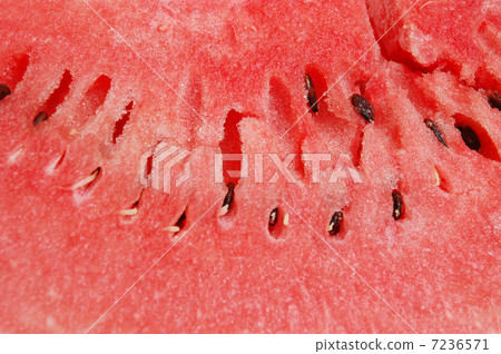 Slice of watermelon Slice of watermelon 7236571