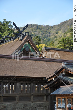 出雲大社大廳 7236585