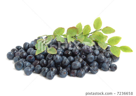 Bilberries 7236658