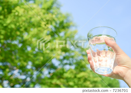 杯水 7236701