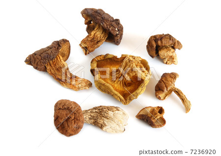 Dry mushrooms Dry mushrooms 7236920