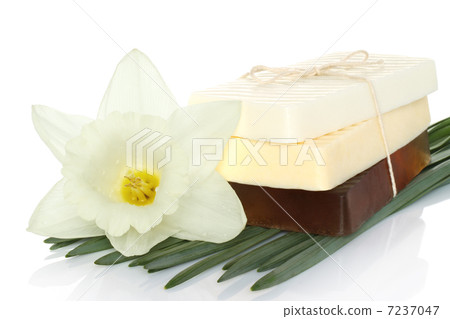 Spa composition of handmade soap, flower and leaves. Spa composition of handmade soap, flower and leaves. 7237047
