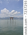 宮島 7237293