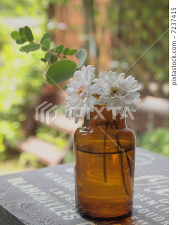 瑪格麗特 瑪格麗特 7237415