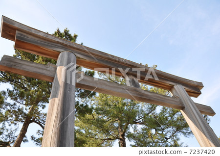 Izumo Taisha Torii Torii Izumo Taisha Torii Torii 7237420