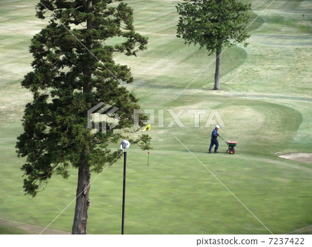 Management of the lawn of the golf course is done early in the morning Management of the lawn of the golf course is done early in the morning 7237422