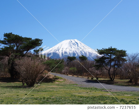 Mount Fuji Mount Fuji 7237655