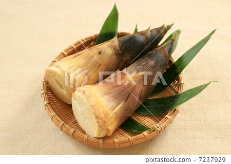 bamboo shoots 7237929
