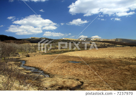 Hachijigahara Marsh Hachijigahara Marsh 7237970