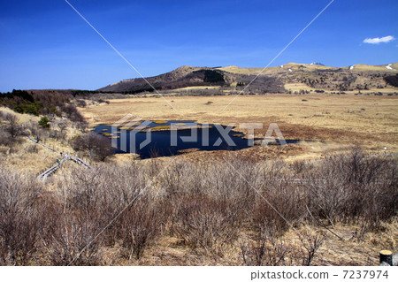 Hachijigahara Marsh 7237974