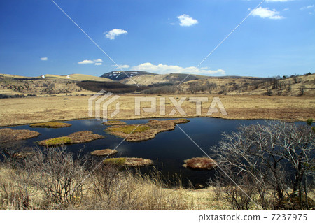 Hachijigahara Marsh 7237975