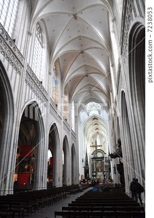 Notre Dame Cathedral Antwerp Notre Dame Cathedral Antwerp 7238053