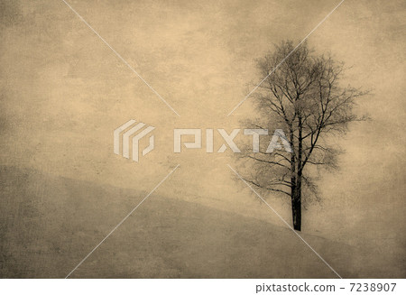 vintage image of a tree over grunge background 7238907