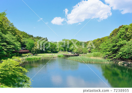 噴泉森林 7238935