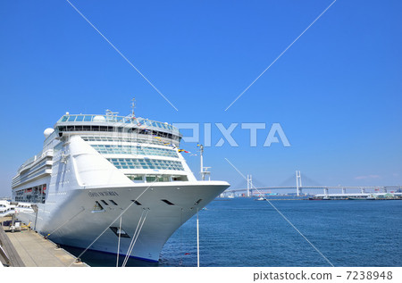 luxury liner luxury liner 7238948