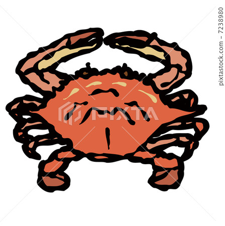 Gazami crab Gazami crab 7238980