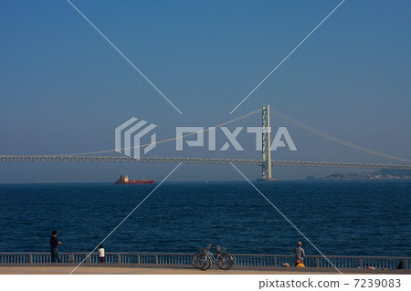 Sea Fishing Park and Akashi Bridge 7239083