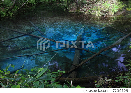 Kiyosato Town, Hokkaido "God's Pond" Kiyosato Town, Hokkaido "God's Pond" 7239109