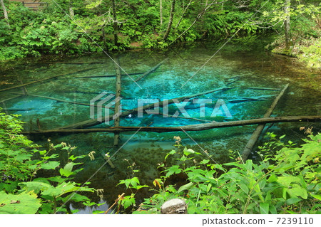 Kiyosato Town, Hokkaido "God's Pond" 7239110