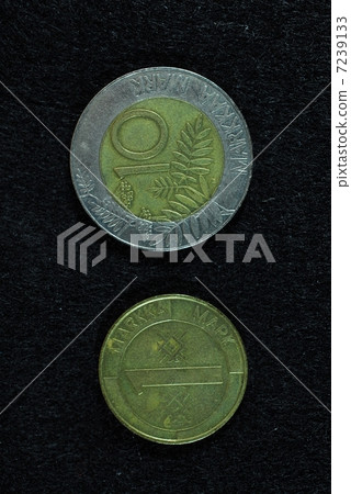 在芬蘭引入歐元之前的硬幣 7239133